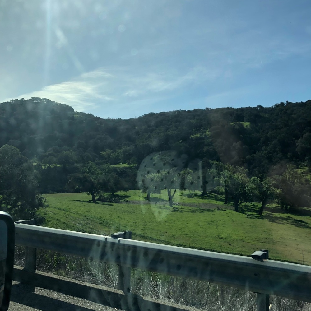 Meet your Posher, Chelsea